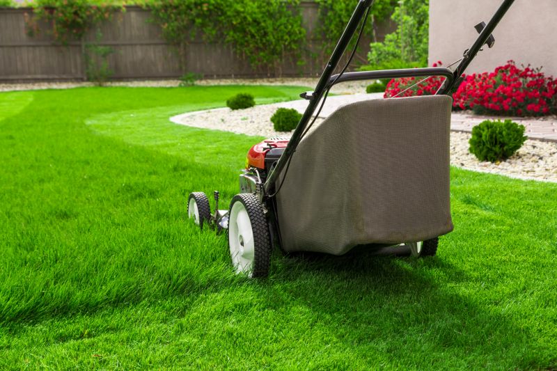 Routine Lawn Maintenance