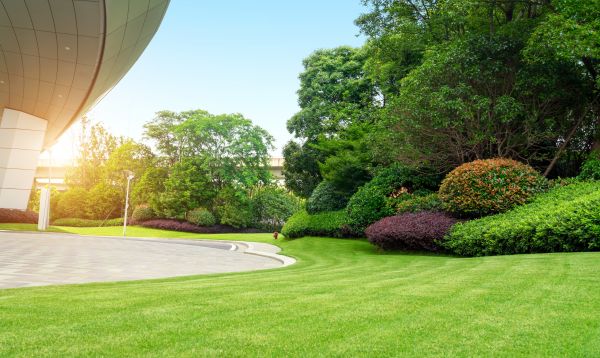 Cost of Commercial Lawn Mowing in Hixson