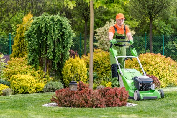 Yard Service in Hixson