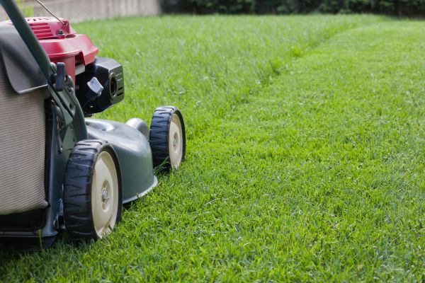 Residential Lawn Care in Hixson