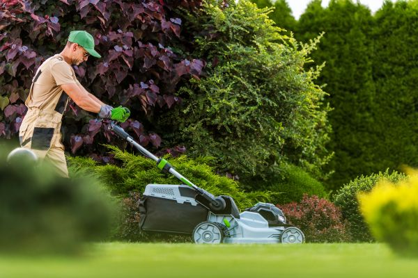 Lawn Management in Hixson