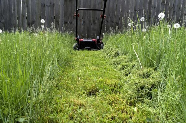 Cost of High Grass Mowing in Hixson