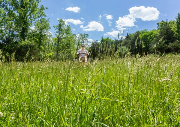 Cost of Long Grass Mowing in Hixson