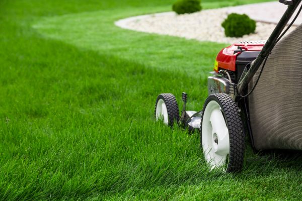 Lawn Trimming in Hixson