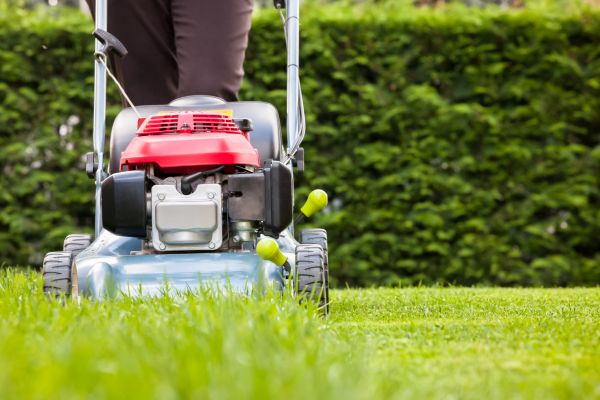 Cost of Grass Trimming Service in Hixson