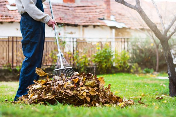 Cost of Routine Lawn Maintenance in Hixson