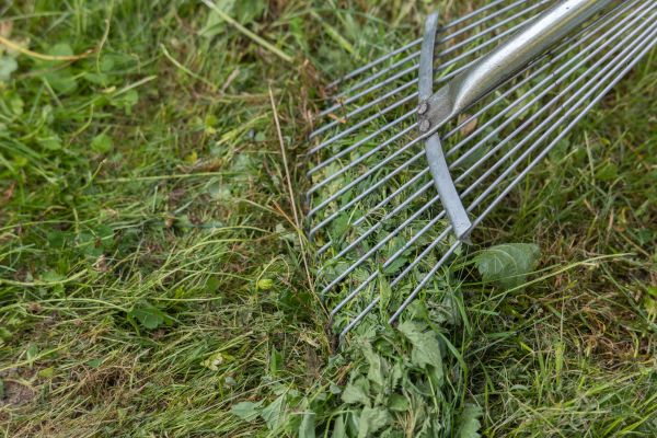 Cost of Thatch Raking in Hixson