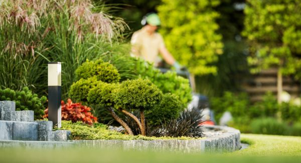 Cost of Residential Yard Maintenance in Hixson