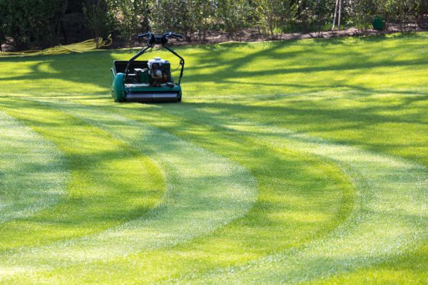 Cost of Business Lawn Mowing in Hixson