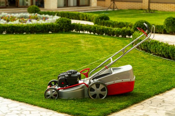 Cost of Business Grass Cutting in Hixson