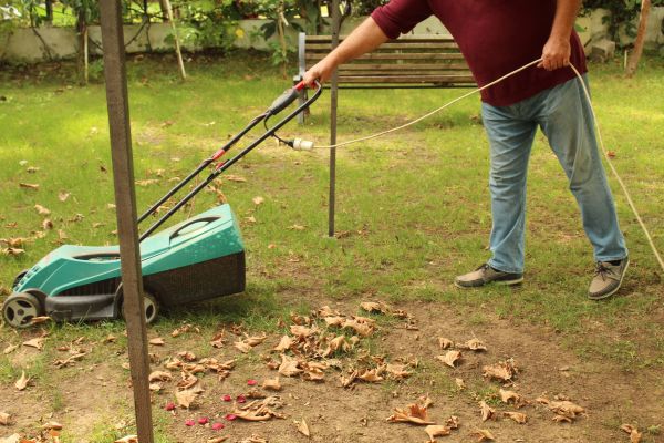 Cost of Leaves Mowing in Hixson