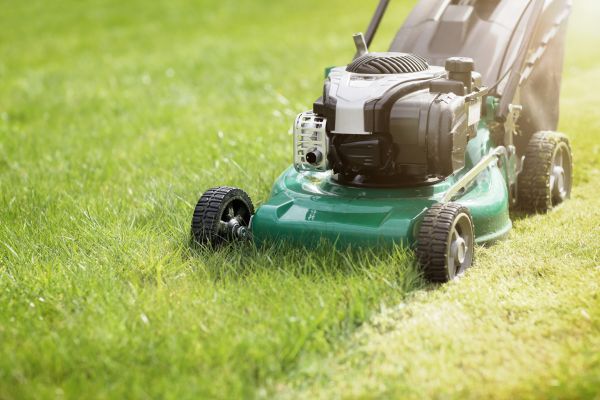 Cost of Spring Grass Trimming in Hixson