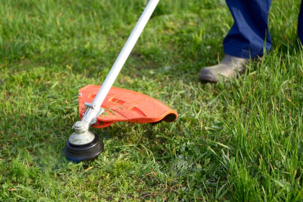 Cost of Lawn Weed Whacking in Hixson